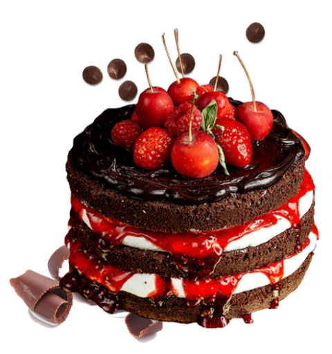 Best Cake Baking Classes and Courses in Chennai & Coimbatore ...