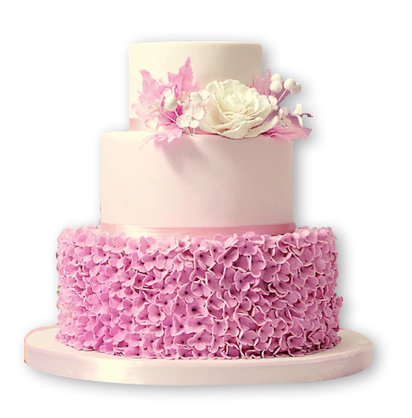 Best Cake Baking Classes and Courses in Chennai & Coimbatore, BakingTag